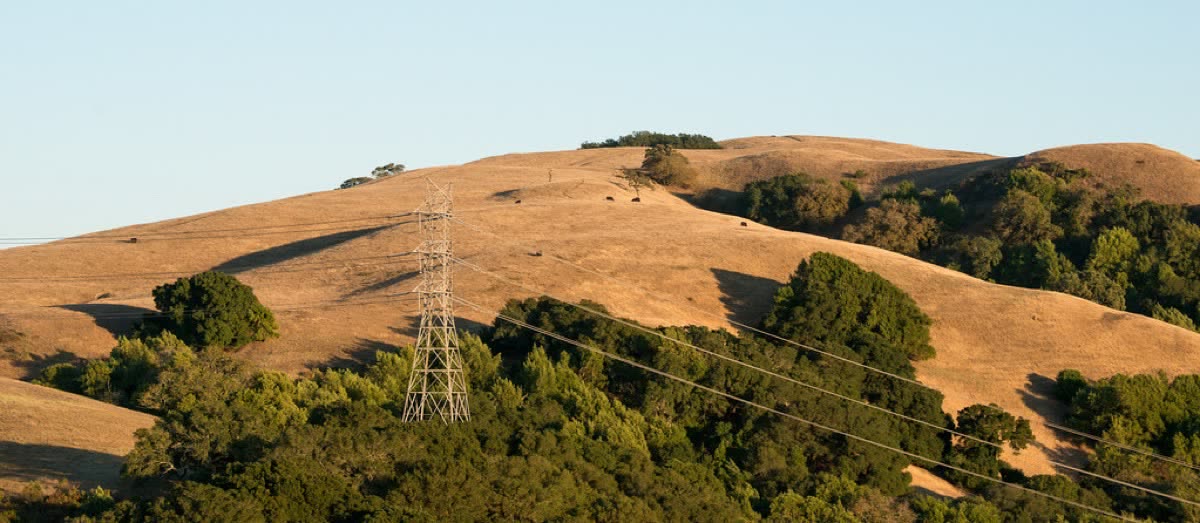 Golden East Bay hills in late afternoon light
